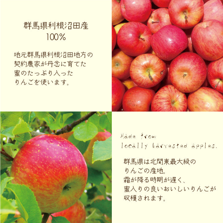 群馬で穫れた完熟りんごパウンドケーキ 群馬県利根沼田産りんご100％